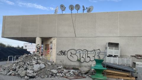 23' Spring visit - IMG_9814.jpeg