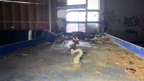 23' Spring visit - IMG_9834.jpeg