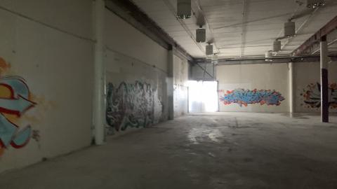 23' Spring visit - IMG_9870.jpeg