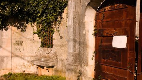 A place fit for a royale - IMG_3365.jpg