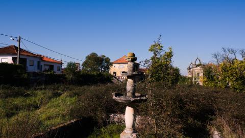 A place fit for a royale - IMG_3400.jpg