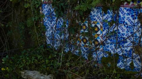 A place fit for a royale - IMG_3405.jpg