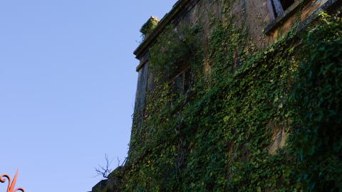 A place fit for a royale - IMG_3411.jpg