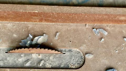 ABC Lumber - IMG_0067.jpeg