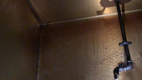 23' Summer visit - IMG_1967.jpeg