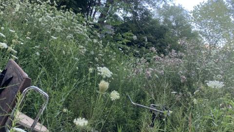 Spore Supreme - IMG_2307.jpeg