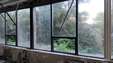 Spore Supreme - IMG_2347.jpeg