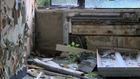 Spore Supreme - IMG_2336.jpeg