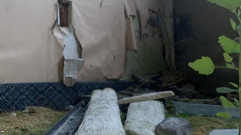 Spore Supreme - IMG_2338.jpeg