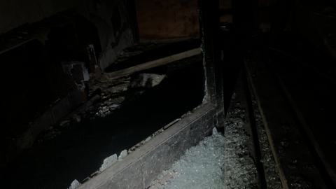 Spore Supreme - IMG_2317.jpeg