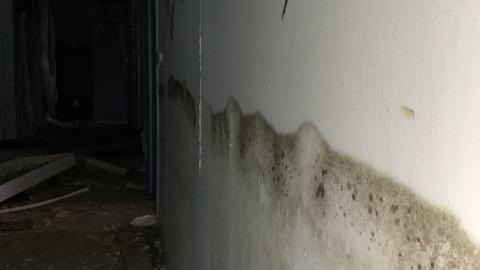 Spore Supreme - IMG_2396.jpeg