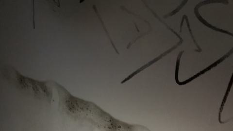 Spore Supreme - IMG_2394.jpeg