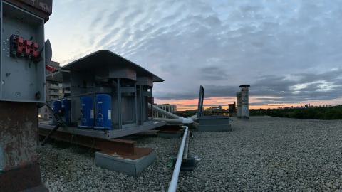 Spore Supreme - IMG_2406.jpeg