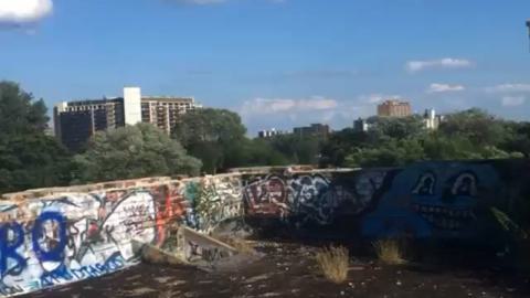 The Mustyy (linseed) 2020 - IMG_4971.jpeg