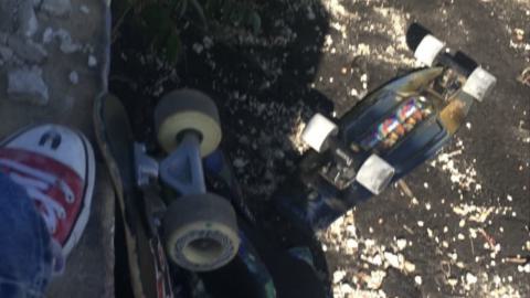 The Mustyy (linseed) 2020 - IMG_4969.jpeg