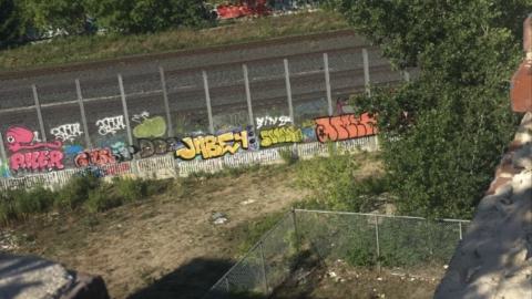 The Mustyy (linseed) 2020 - IMG_4968.jpeg