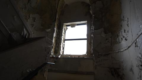 Dead Birds and Fentanyl - ADS_9776.JPG