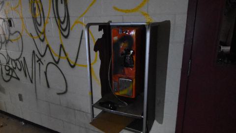 Dead Birds and Fentanyl - ADS_9839.JPG