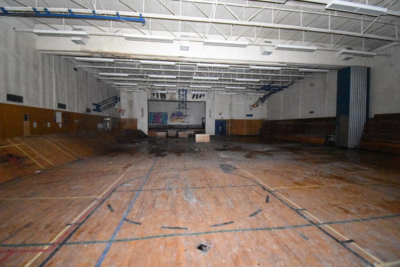 Dead Birds and Fentanyl - ADS_9863.JPG