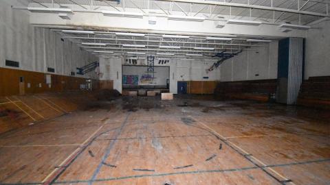 Dead Birds and Fentanyl - ADS_9863.JPG