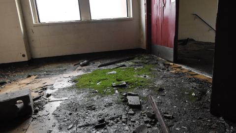 Dead Birds and Fentanyl - ADS_9901.JPG