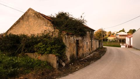 spike weed casa photo 4