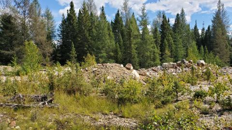 Beaudry Mine - 20200906_132931.jpg