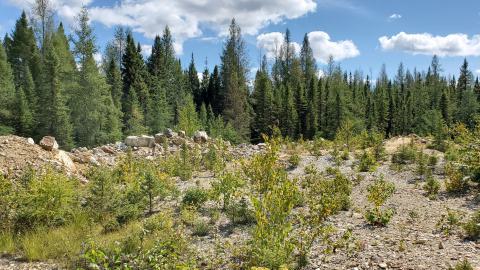 Beaudry Mine - 20200906_132934.jpg