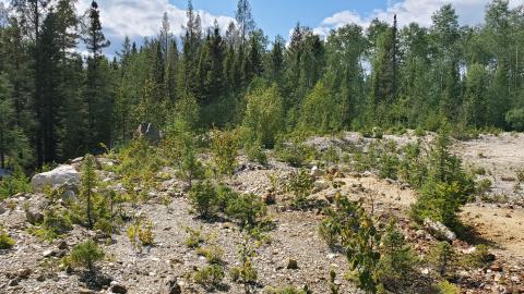 Beaudry Mine - 20200906_133047.jpg