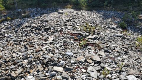 Beaudry Mine - 20200906_134016.jpg