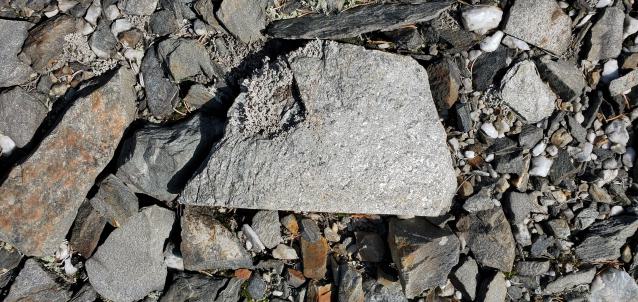 Mine Beaudry photo 3