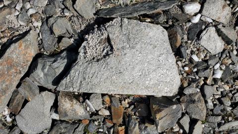 Beaudry Mine - 20200906_134027.jpg