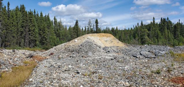 Mine Beaudry photo 5