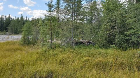 Beaudry Mine - 20200906_135703.jpg