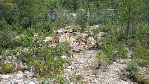 Beaudry Mine - 20200906_141359.jpg