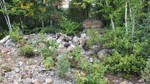 Beaudry Mine - 20200906_141718.jpg