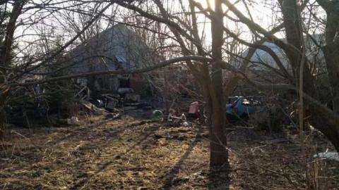 03/11/2012 - Picture73589 009.jpg