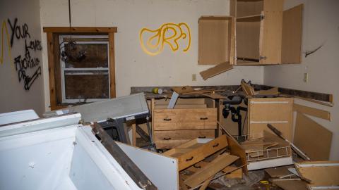 Photo from Nighttime Visit In The Snow