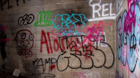 Photo from Just A Few Mediocre Shots