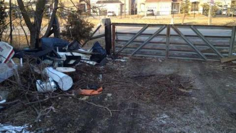 03/11/2012 - Picture73589 016.jpg