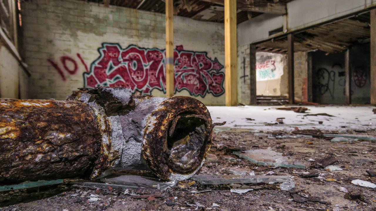 Winter Version - IMG_9478-2x2X.jpg