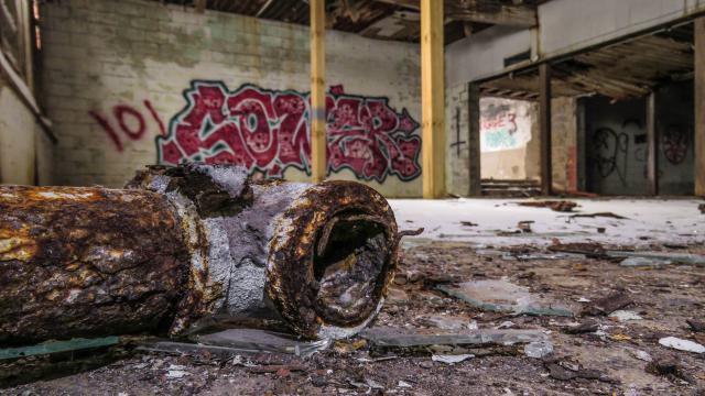 Winter Version - IMG_9478-2x2X.jpg