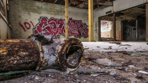 Winter Version - IMG_9478-2x2X.jpg