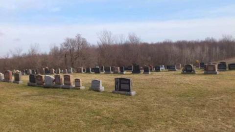 saint paddy's day 2012 - St.-Raphaels6.jpg