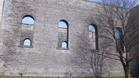 saint paddy's day 2012 - St.-Raphaels13.jpg