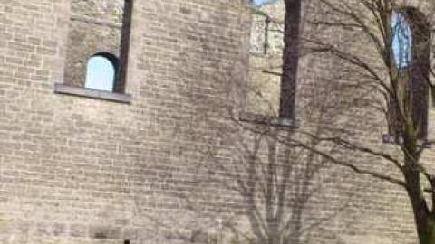 saint paddy's day 2012 - St.-Raphaels14.jpg