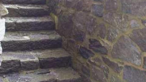 saint paddy's day 2012 - St.-Raphaels22.jpg