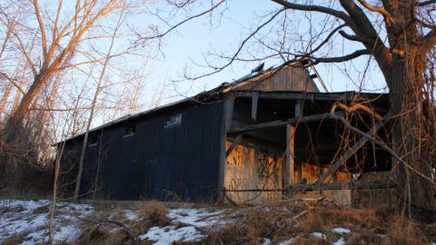 Still Standing (January 2024) - 2014-01-29 007.JPG