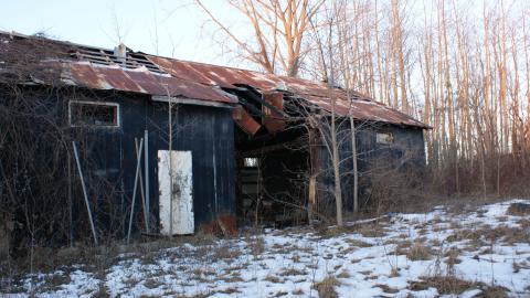 Still Standing (January 2024) - 2014-01-29 012.JPG