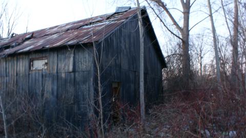 Photo from Still Standing (January 2024)